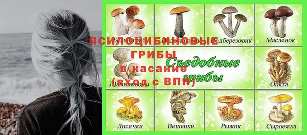 молекула духа Абаза