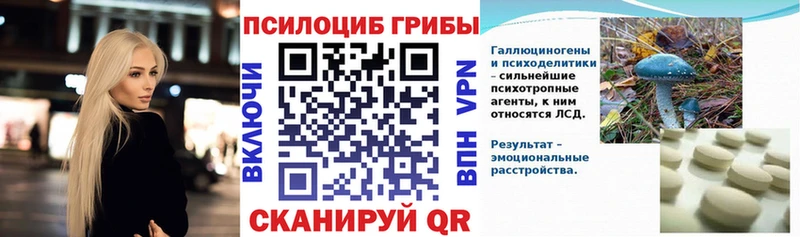 Галлюциногенные грибы Psilocybe цены площадка наркотические препараты Иноземцево